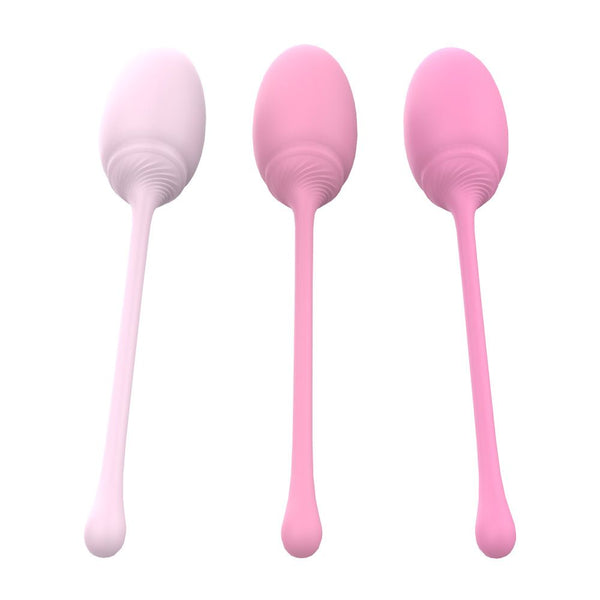 BOLAS VAGINALES V FIT TRAINING