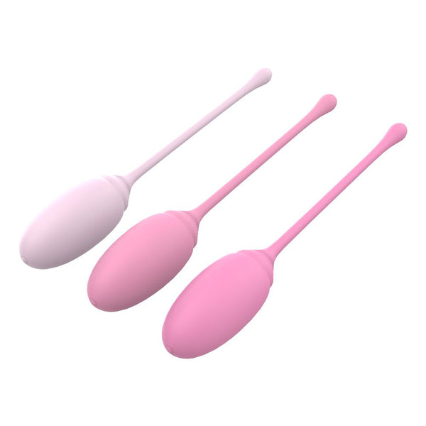 BOLAS VAGINALES V FIT TRAINING